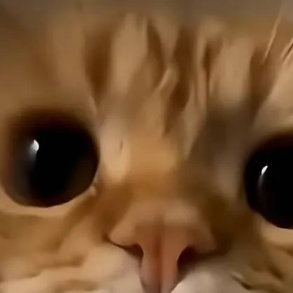 chat with ai character: garfield