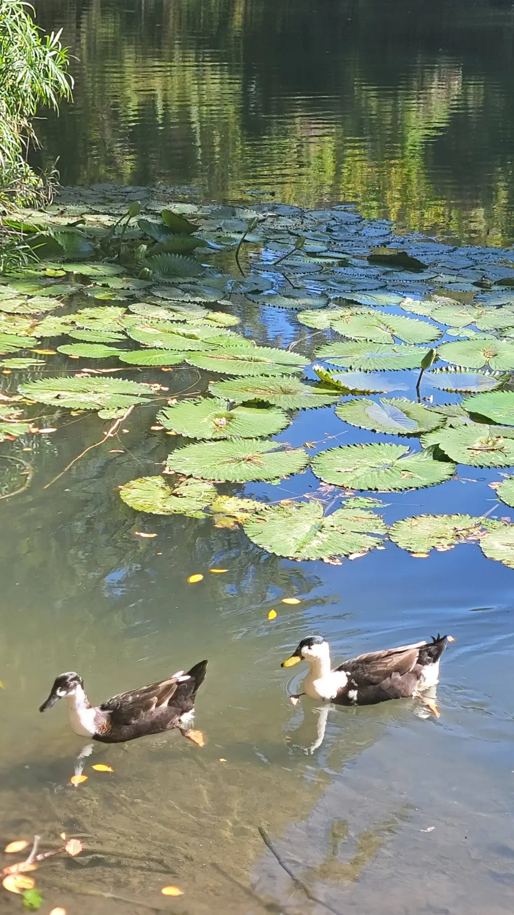 ai character: therapy background