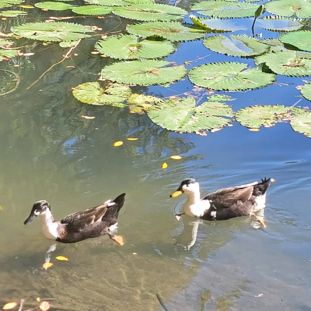 chat with ai character: therapy