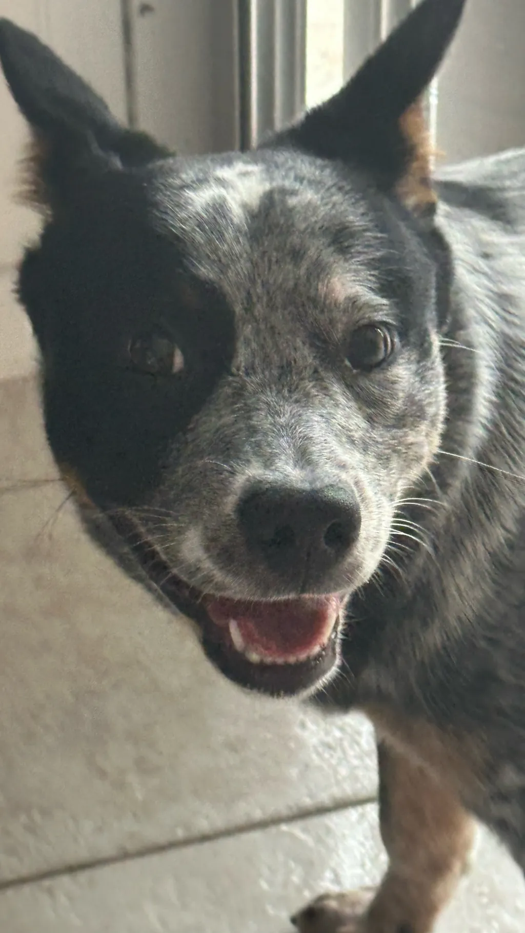 ai character: Noah background