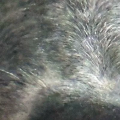 chat with ai character: Noah