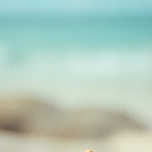 chat with ai character: ugly sister