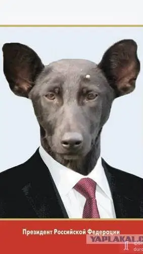 ai character: путин background