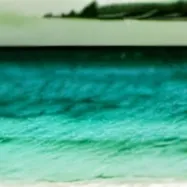 chat with ai character: скат