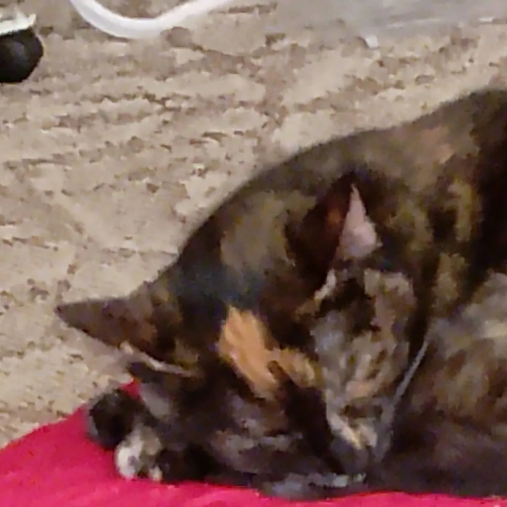 chat with ai character: пиченюшка