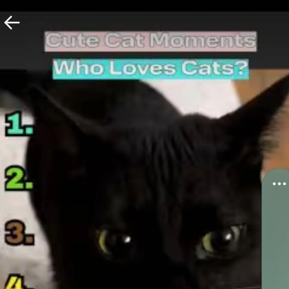 chat with ai character: pinki te pega