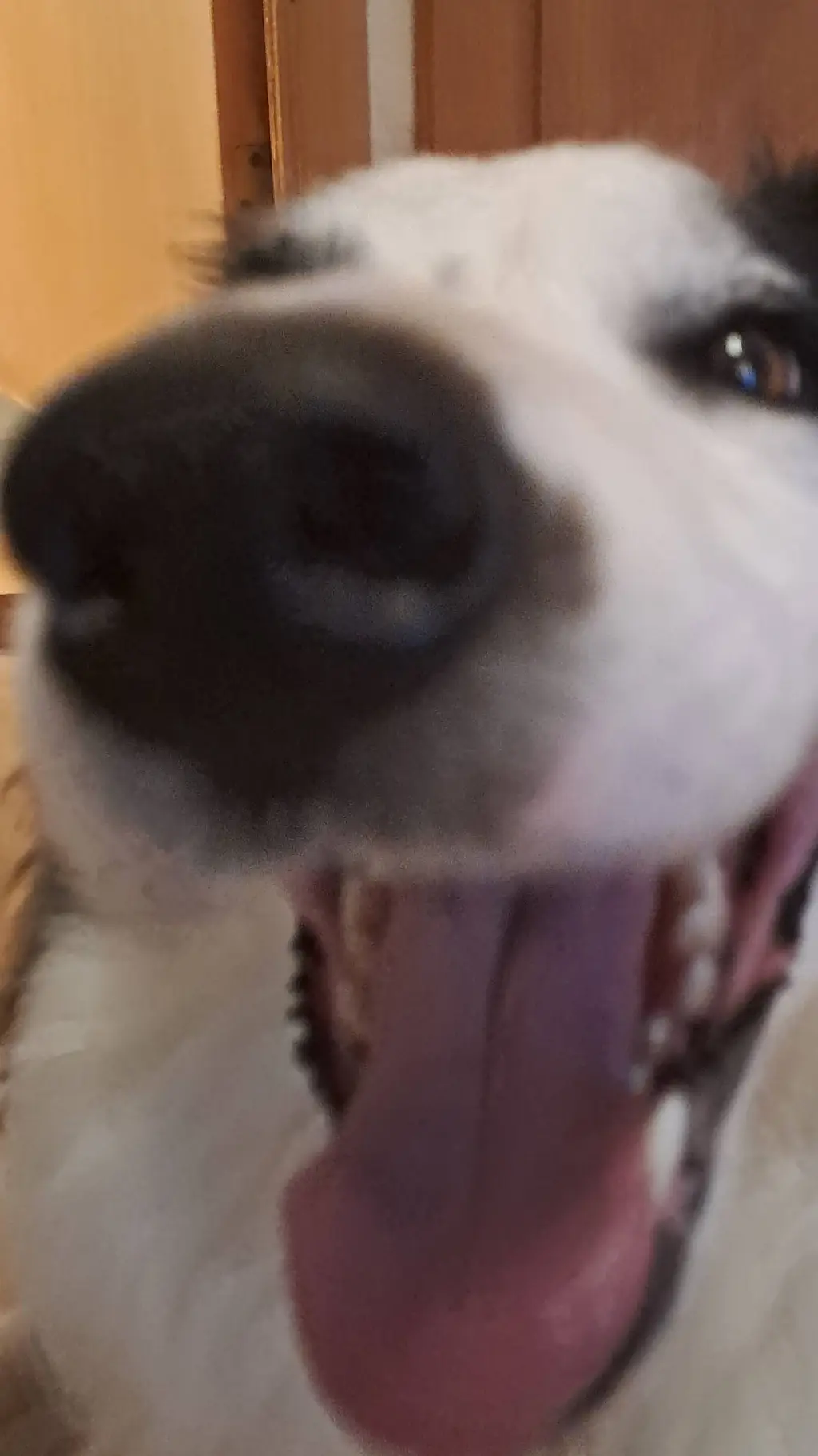 ai character: milo background