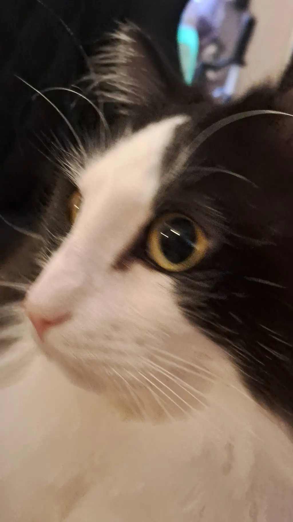 ai character: pan background