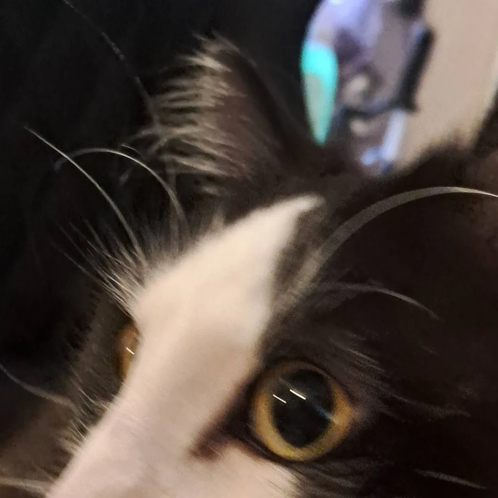 chat with ai character: pan