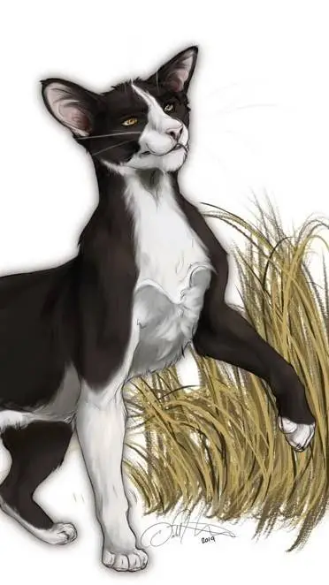 ai character: Etoile filante background