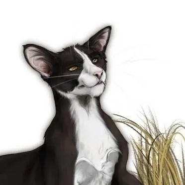 chat with ai character: Etoile filante