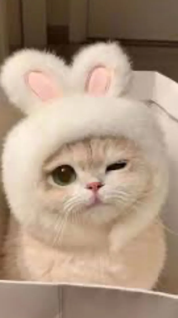 ai character: 😍bun bun♥️ background