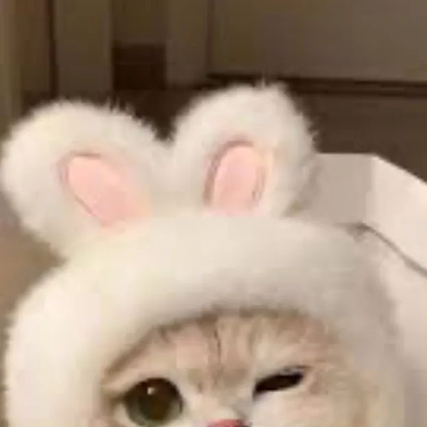 chat with ai character: 😍bun bun♥️