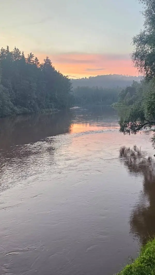 ai character: Forgotten...  background