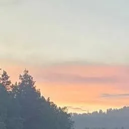 chat with ai character: DW took ur diary?!