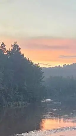 ai character: DW took ur diary?! background