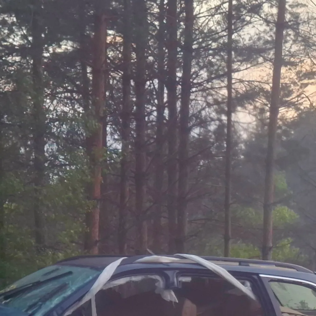 chat with ai character: -Car Crash-