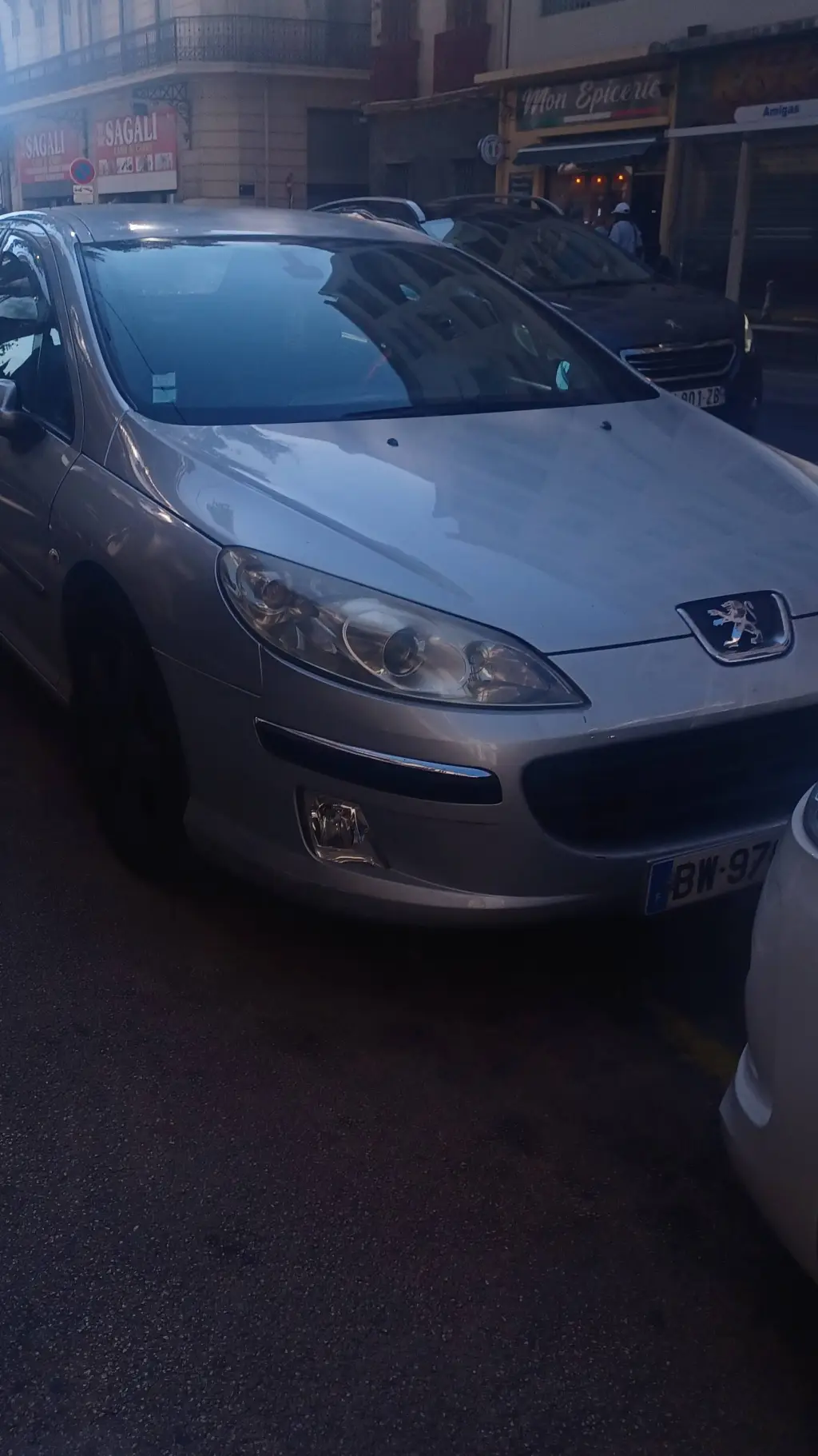 ai character: Peugeot 407 background