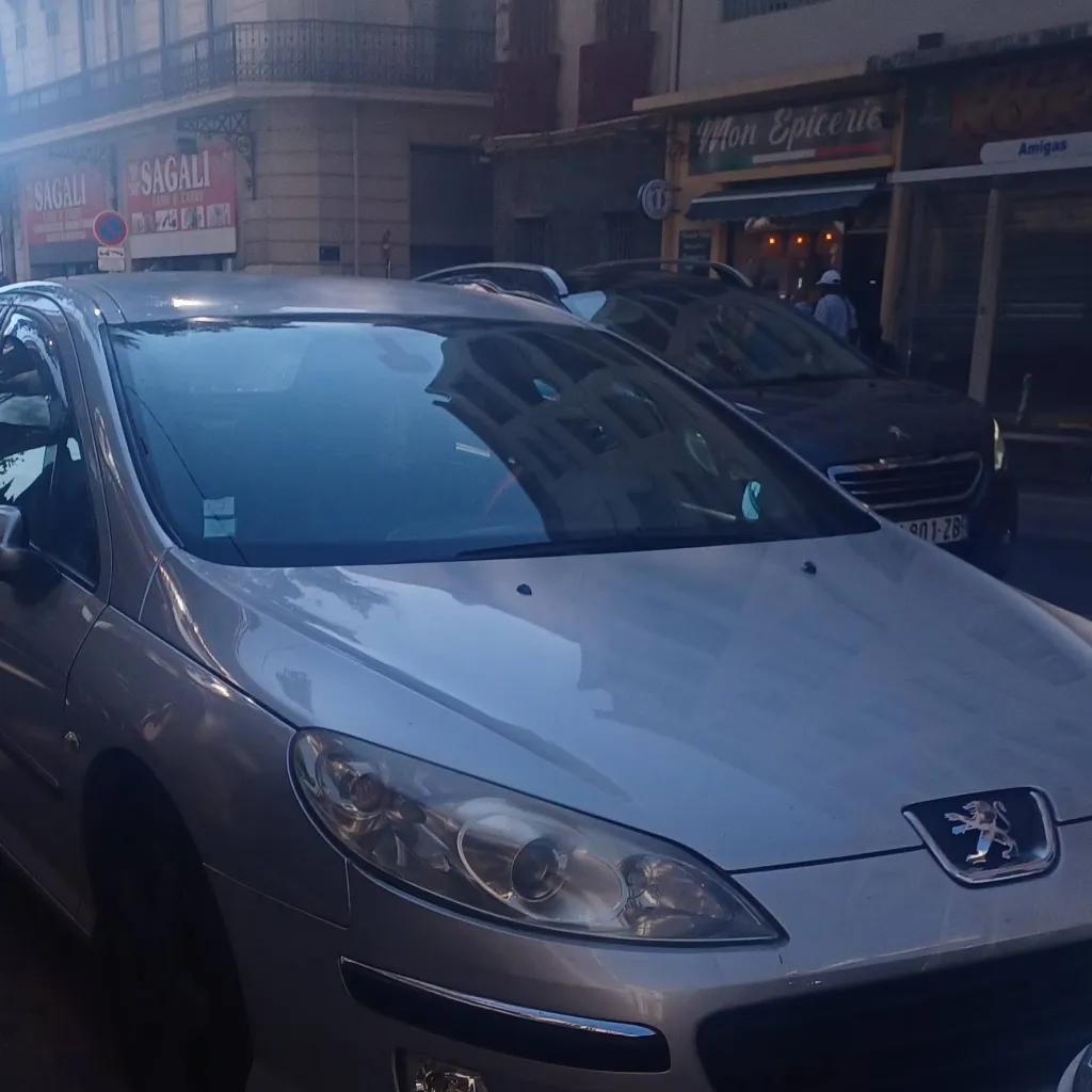 chat with ai character: Peugeot 407