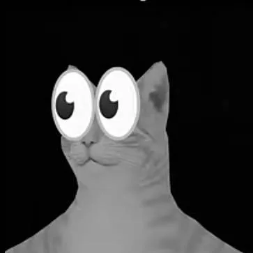 chat with ai character: AGato👀