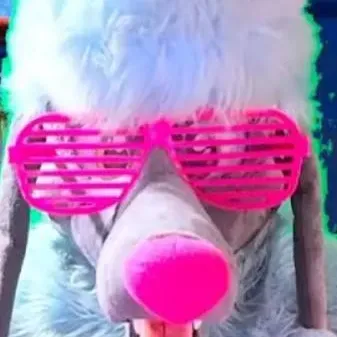 chat with ai character: Sunny