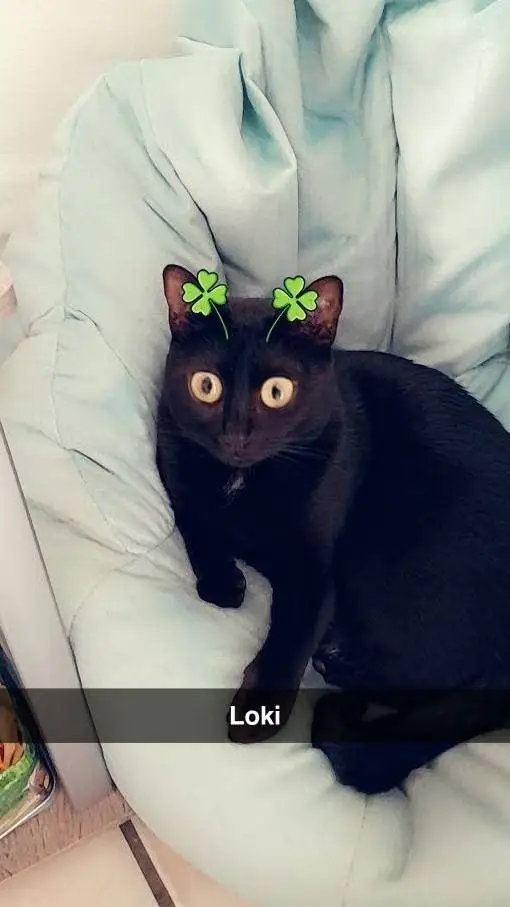 ai character: Happy New years background