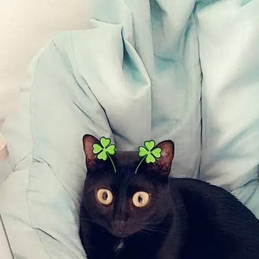 chat with ai character: Happy New years