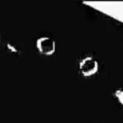 chat with ai character: nada