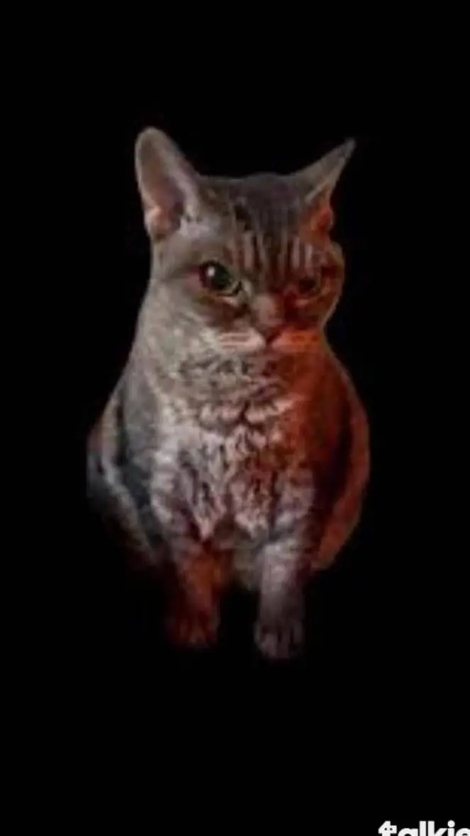 ai character: gatito enojado background