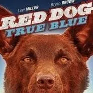 chat with ai character: red dog true blue 