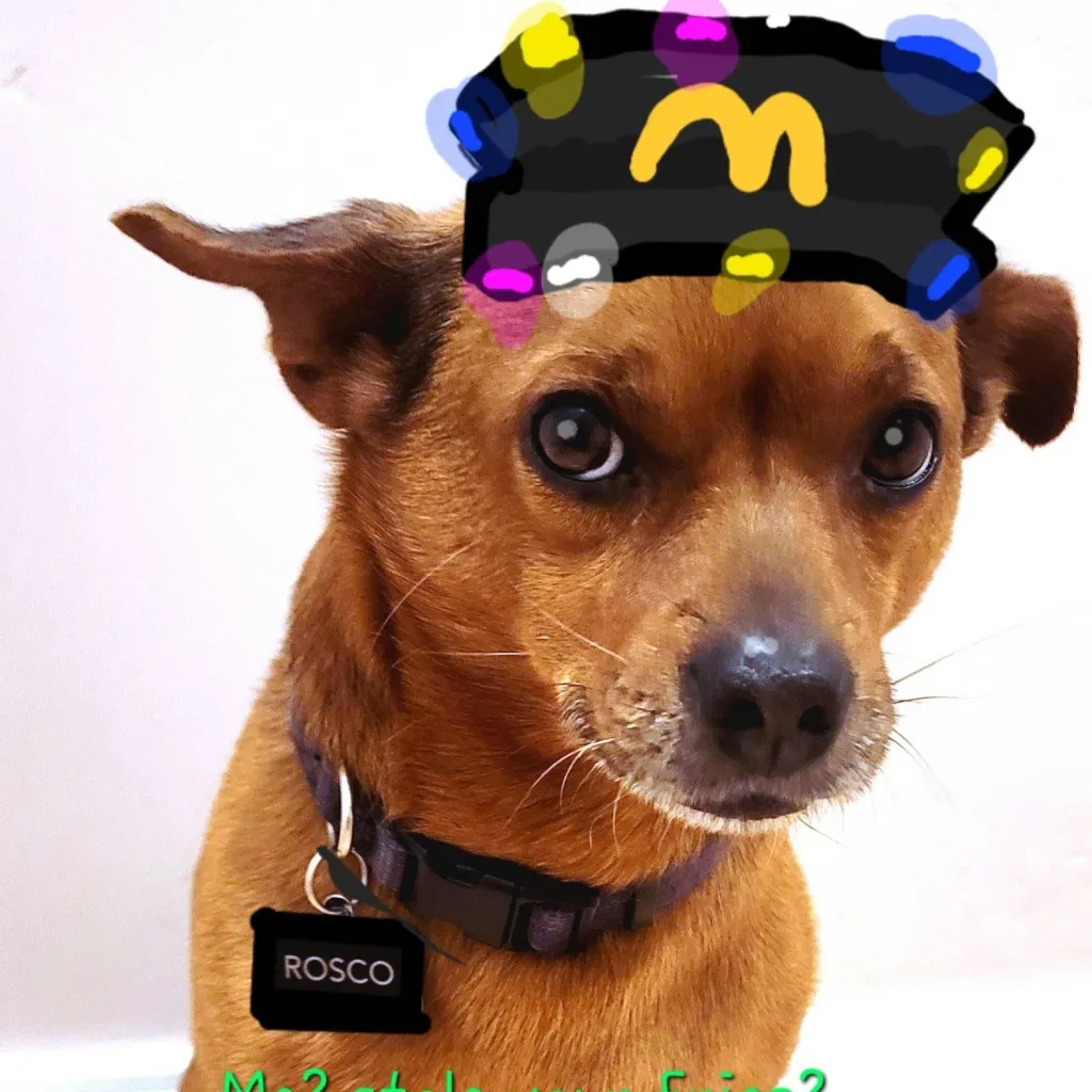 chat with ai character: ♡Roscoe♡
