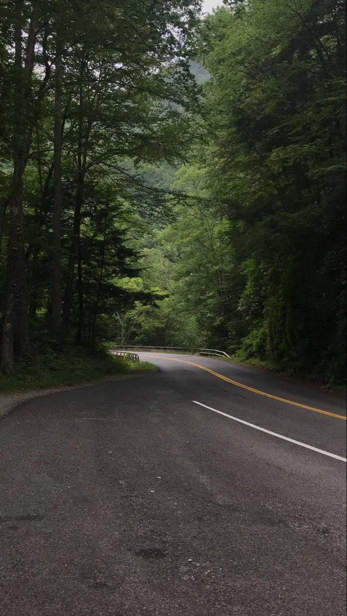 ai character: Family road trip background