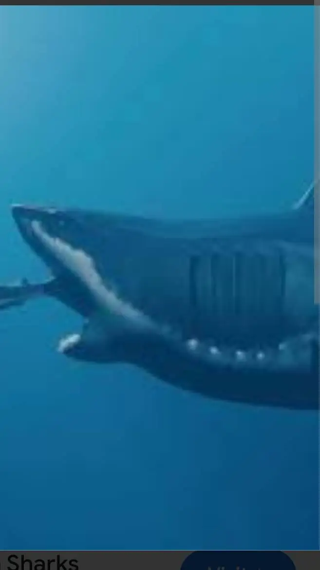 ai character: megalodon background