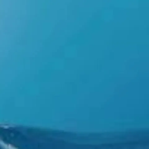 chat with ai character: megalodon