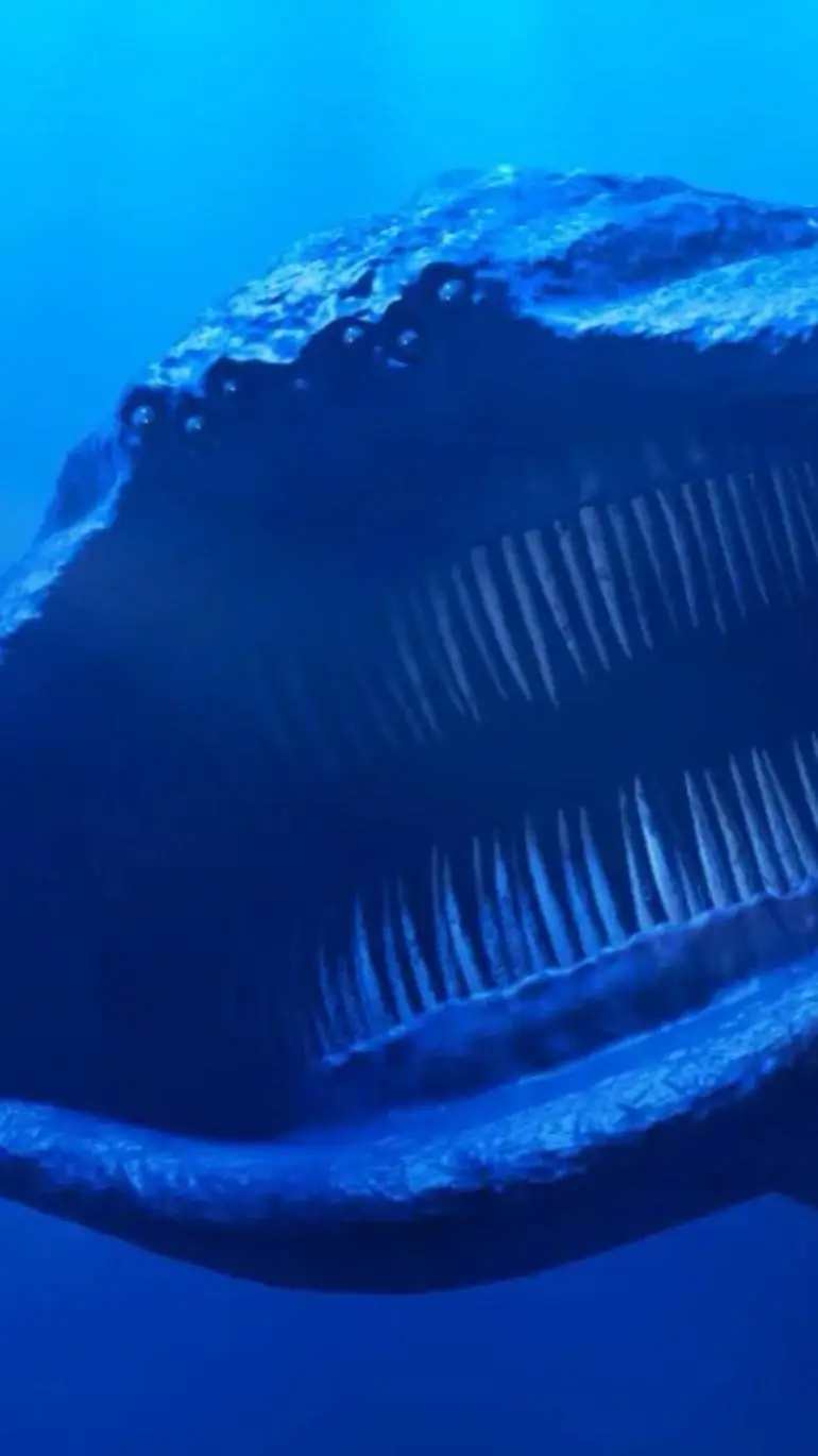 ai character: el gran maja background