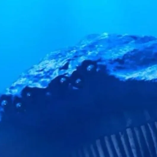 chat with ai character: el gran maja