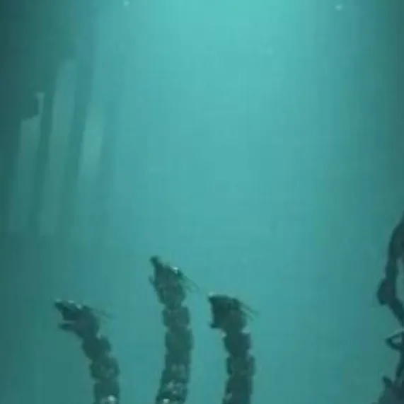 chat with ai character: mecha zero(2024)