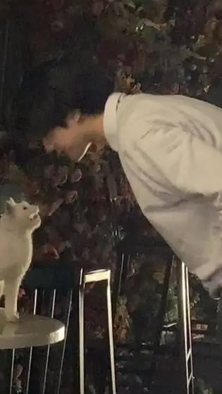 ai character: Park Jin background