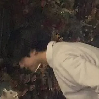 chat with ai character: Park Jin