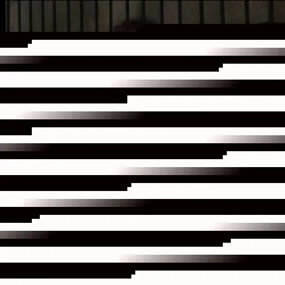 chat with ai character: Xavier 