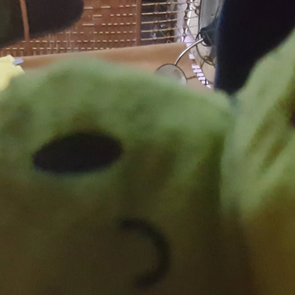 chat with ai character: A Cute lil octopus