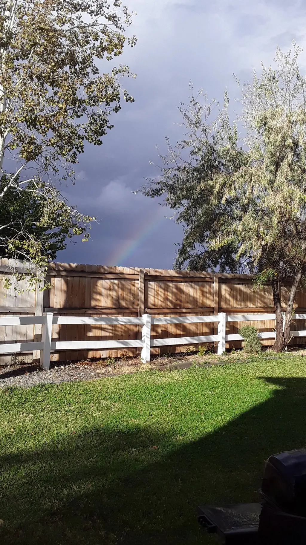 ai character: 99 nights kola kid background