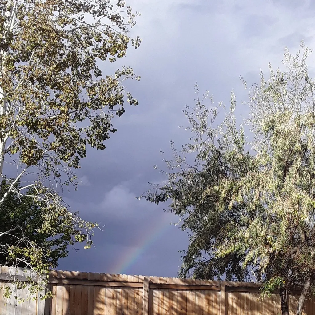 chat with ai character: 99 nights kola kid