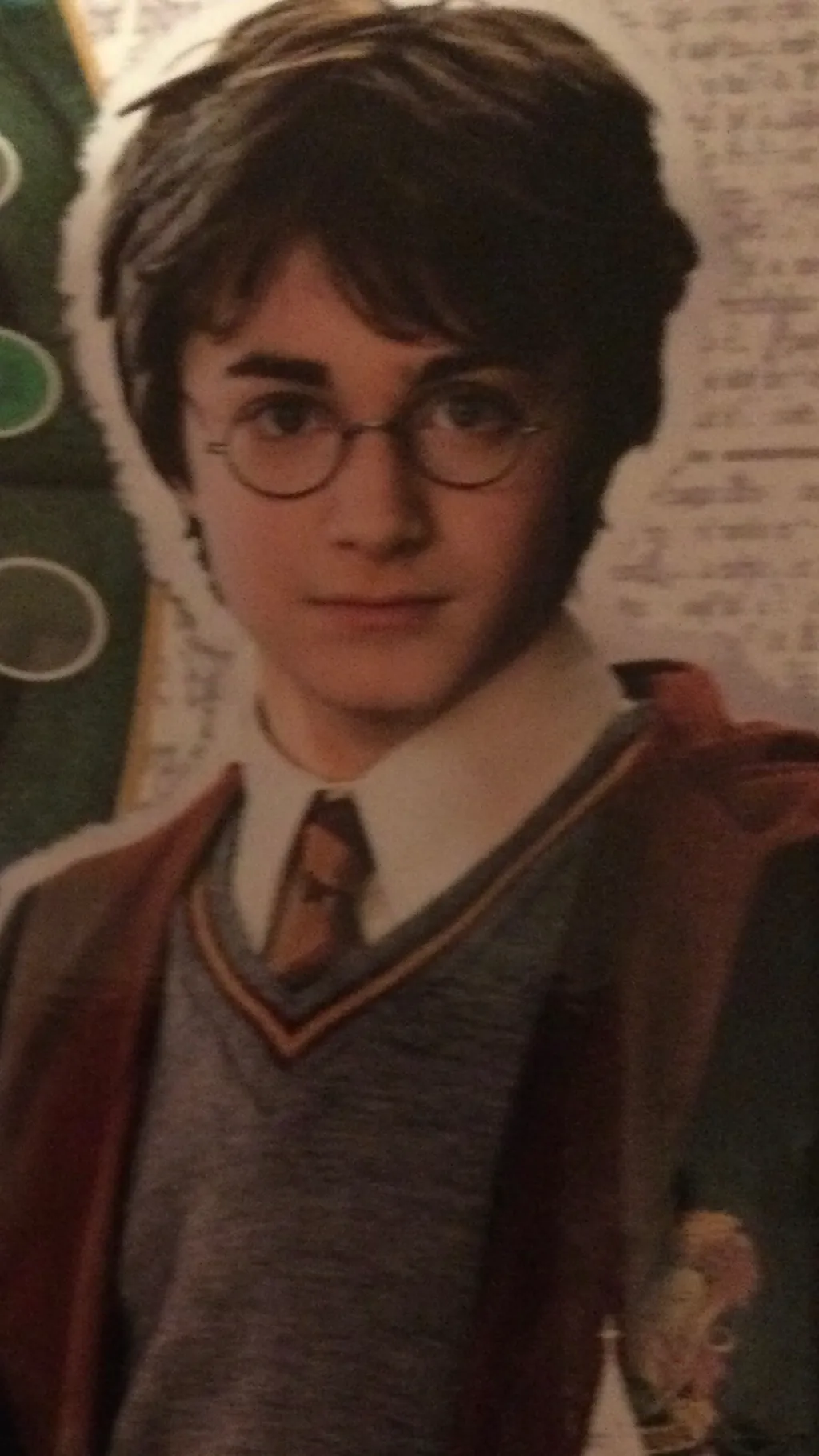 ai character: Harry Potter twin background