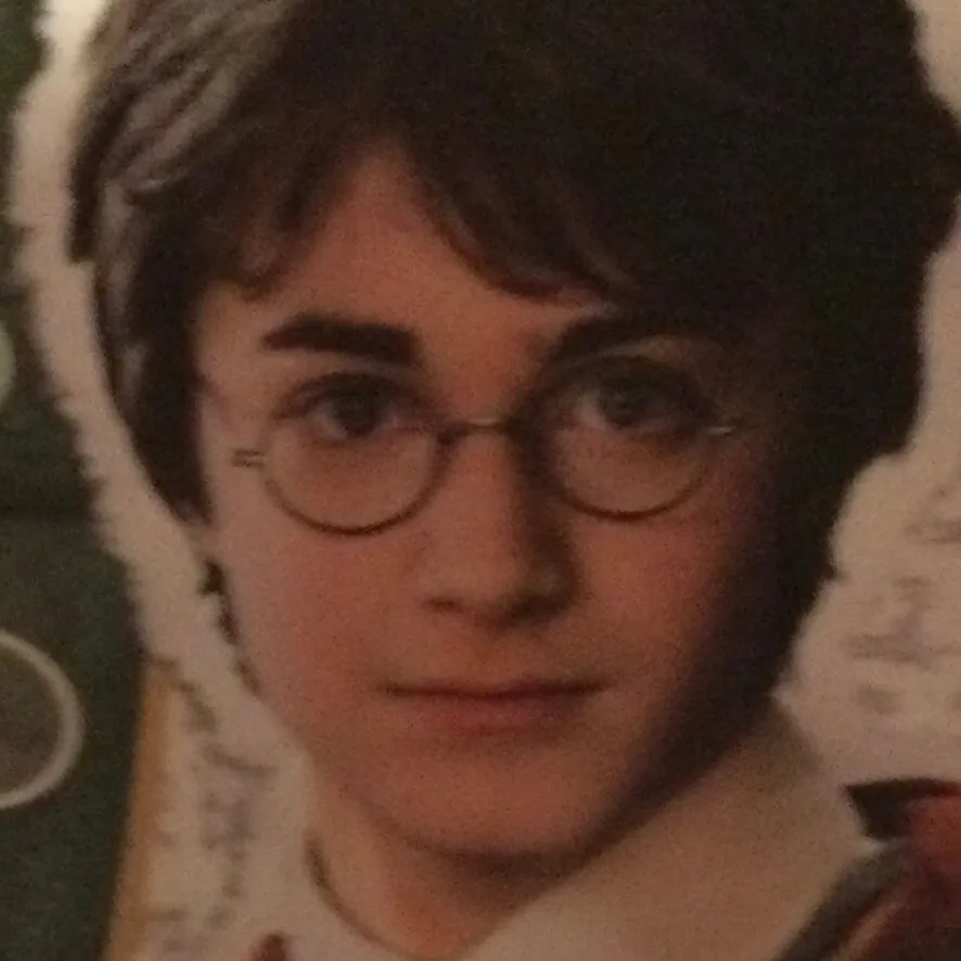 chat with ai character: Harry Potter twin
