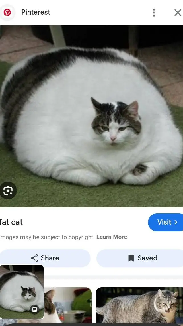 ai character: car ride background