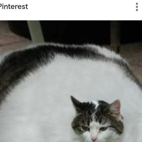 chat with ai character: car ride