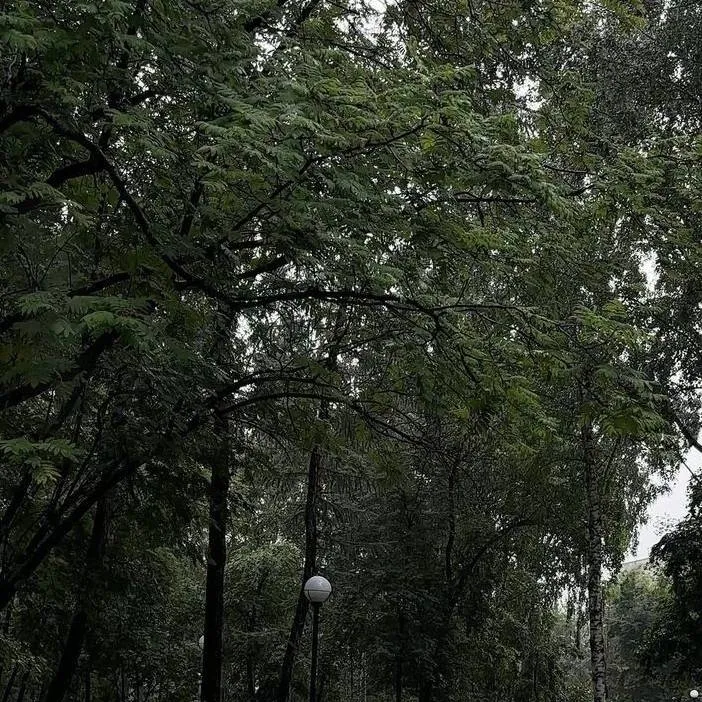 chat with ai character: 🌧bad day....