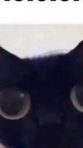 ai character: Aero Escaped?! background