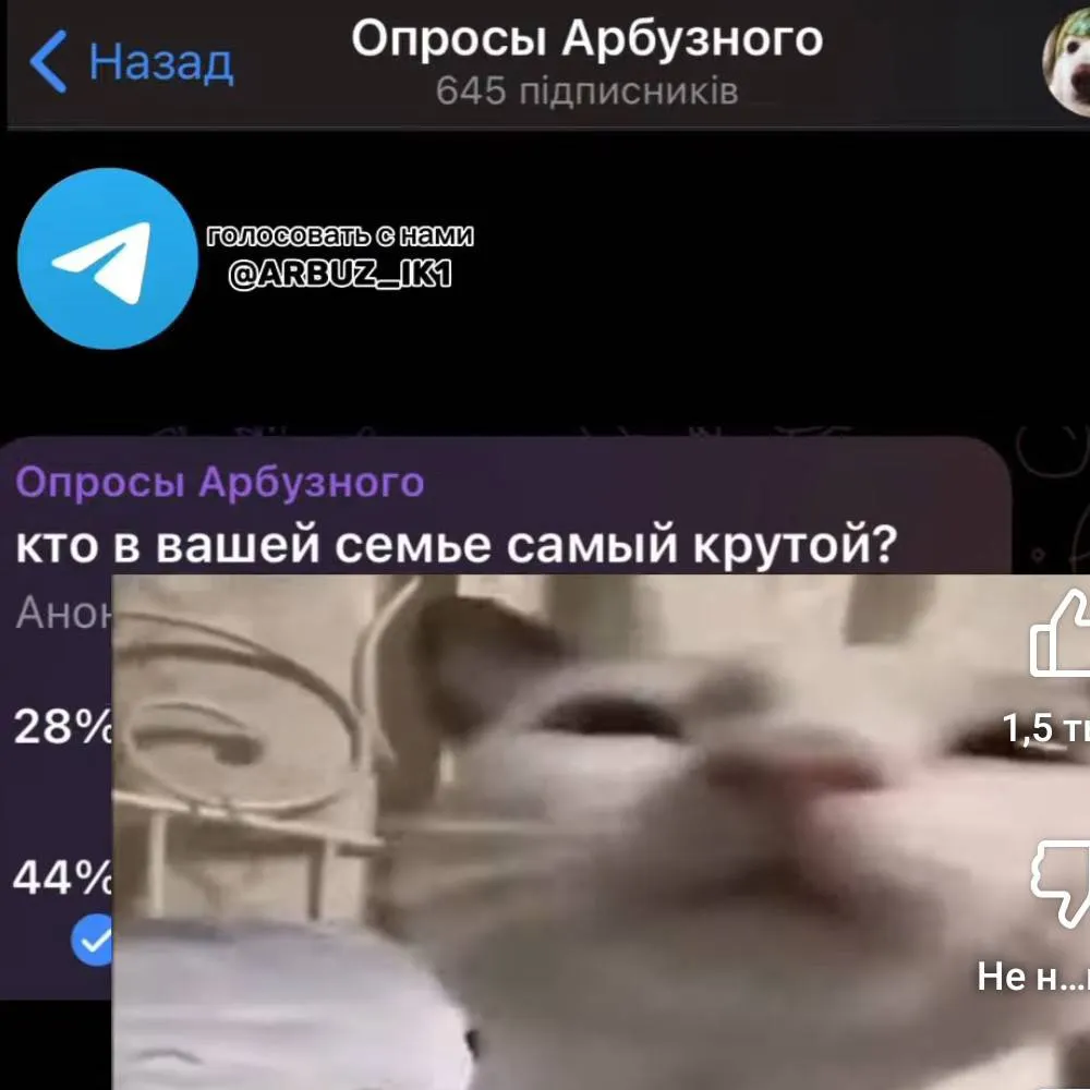 chat with ai character: Денис